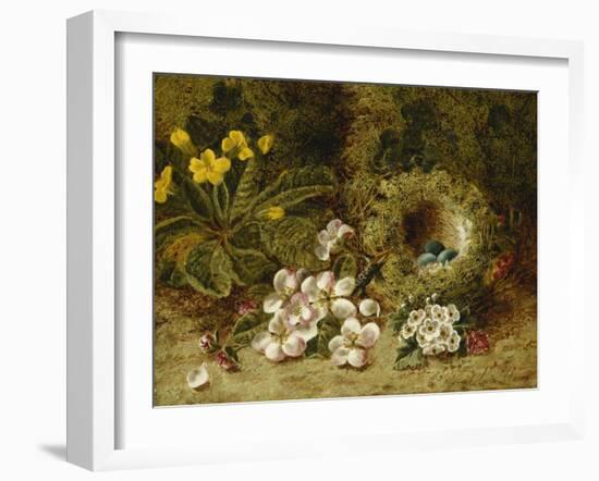 Apple Blossoms, a Primrose and Birds Nest on a Mossy Bank-Oliver Clare-Framed Giclee Print