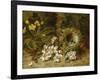 Apple Blossoms, a Primrose and Birds Nest on a Mossy Bank-Oliver Clare-Framed Giclee Print