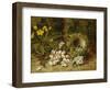 Apple Blossoms, a Primrose and Birds Nest on a Mossy Bank-Oliver Clare-Framed Giclee Print