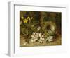 Apple Blossoms, a Primrose and Birds Nest on a Mossy Bank-Oliver Clare-Framed Giclee Print