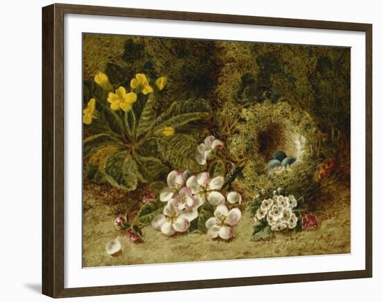 Apple Blossoms, a Primrose and Birds Nest on a Mossy Bank-Oliver Clare-Framed Giclee Print