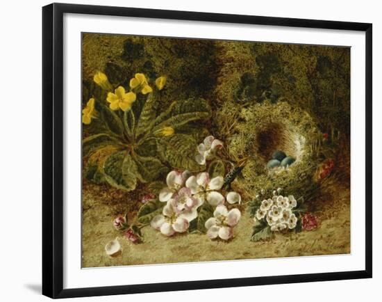 Apple Blossoms, a Primrose and Birds Nest on a Mossy Bank-Oliver Clare-Framed Giclee Print