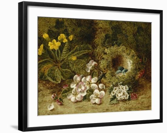 Apple Blossoms, a Primrose and Birds Nest on a Mossy Bank-Oliver Clare-Framed Giclee Print