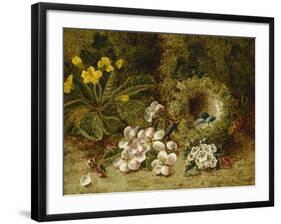 Apple Blossoms, a Primrose and Birds Nest on a Mossy Bank-Oliver Clare-Framed Giclee Print