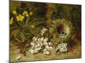 Apple Blossoms, a Primrose and Birds Nest on a Mossy Bank-Oliver Clare-Mounted Giclee Print
