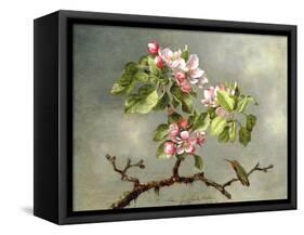 Apple Blossoms and a Hummingbird, 1875-Martin Johnson Heade-Framed Stretched Canvas