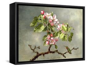 Apple Blossoms and a Hummingbird, 1875-Martin Johnson Heade-Framed Stretched Canvas
