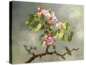 Apple Blossoms and a Hummingbird, 1875-Martin Johnson Heade-Stretched Canvas