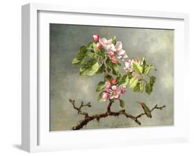 Apple Blossoms and a Hummingbird, 1875-Martin Johnson Heade-Framed Giclee Print