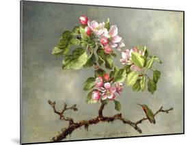 Apple Blossoms and a Hummingbird, 1875-Martin Johnson Heade-Mounted Giclee Print
