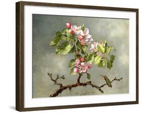 Apple Blossoms and a Hummingbird, 1875-Martin Johnson Heade-Framed Giclee Print