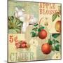 Apple Blossoms I-null-Mounted Giclee Print