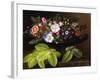 Apple Blossoms, Primula, Heather, and Yellow Acacia-Johan Laurentz Jensen-Framed Photographic Print