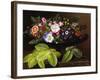 Apple Blossoms, Primula, Heather, and Yellow Acacia-Johan Laurentz Jensen-Framed Photographic Print