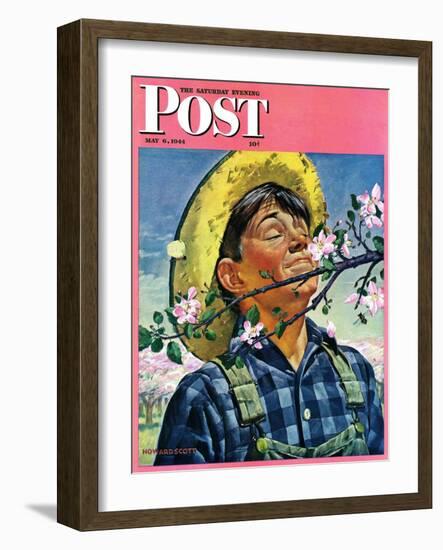 "Apple Blossoms," Saturday Evening Post Cover, May 6, 1944-Howard Scott-Framed Giclee Print