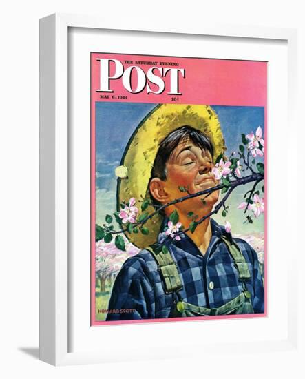 "Apple Blossoms," Saturday Evening Post Cover, May 6, 1944-Howard Scott-Framed Giclee Print