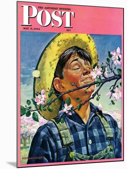 "Apple Blossoms," Saturday Evening Post Cover, May 6, 1944-Howard Scott-Mounted Giclee Print