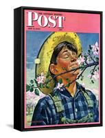 "Apple Blossoms," Saturday Evening Post Cover, May 6, 1944-Howard Scott-Framed Stretched Canvas