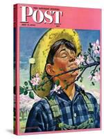"Apple Blossoms," Saturday Evening Post Cover, May 6, 1944-Howard Scott-Stretched Canvas