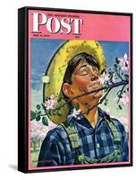 "Apple Blossoms," Saturday Evening Post Cover, May 6, 1944-Howard Scott-Framed Stretched Canvas