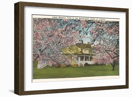 Apple Blossoms, Shenandoah Valley, Virginia-null-Framed Art Print