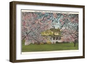 Apple Blossoms, Shenandoah Valley, Virginia-null-Framed Art Print