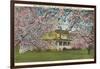 Apple Blossoms, Shenandoah Valley, Virginia-null-Framed Art Print
