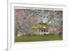 Apple Blossoms, Shenandoah Valley, Virginia-null-Framed Premium Giclee Print