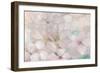 Apple Blossoms Teal-Julia Purinton-Framed Art Print