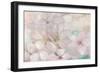 Apple Blossoms Teal-Julia Purinton-Framed Art Print