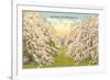 Apple Blossoms, Winchester, Virginia-null-Framed Premium Giclee Print