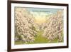 Apple Blossoms, Winchester, Virginia-null-Framed Premium Giclee Print