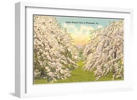 Apple Blossoms, Winchester, Virginia-null-Framed Art Print