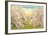 Apple Blossoms, Winchester, Virginia-null-Framed Art Print