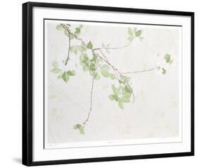 Apple Blossoms-Jon D'Orazio-Framed Collectable Print