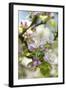 Apple Blossoms-C. Nidhoff-Lang-Framed Photographic Print