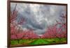 Apple Blossoms-Steven Maxx-Framed Photographic Print