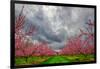 Apple Blossoms-Steven Maxx-Framed Photographic Print