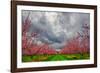 Apple Blossoms-Steven Maxx-Framed Photographic Print