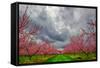 Apple Blossoms-Steven Maxx-Framed Stretched Canvas