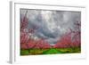 Apple Blossoms-Steven Maxx-Framed Photographic Print