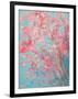 Apple Blossoms-Ann Marie Coolick-Framed Art Print