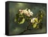 Apple Blossoms-Martin Johnson Heade-Framed Stretched Canvas