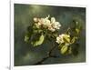 Apple Blossoms-Martin Johnson Heade-Framed Giclee Print