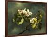 Apple Blossoms-Martin Johnson Heade-Framed Giclee Print