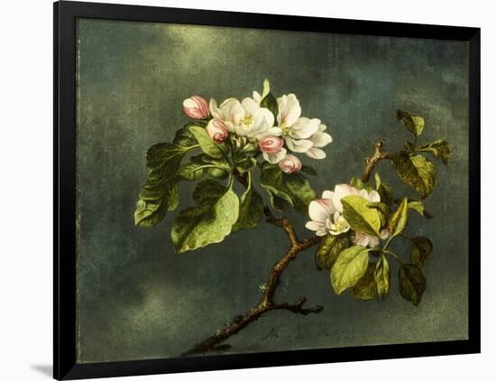 Apple Blossoms-Martin Johnson Heade-Framed Giclee Print