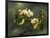 Apple Blossoms-Martin Johnson Heade-Framed Giclee Print