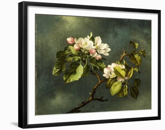 Apple Blossoms-Martin Johnson Heade-Framed Giclee Print