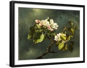 Apple Blossoms-Martin Johnson Heade-Framed Giclee Print