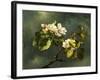 Apple Blossoms-Martin Johnson Heade-Framed Giclee Print